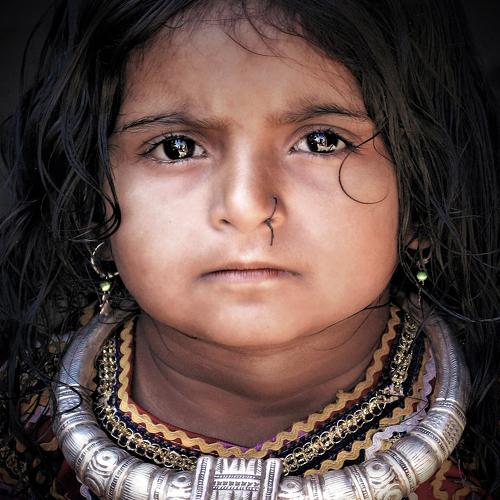 Photo #3977065