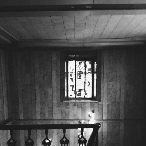 Photo #3977164