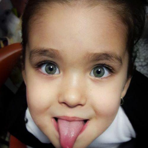 Photo #3977500