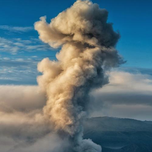 Photo #3978030