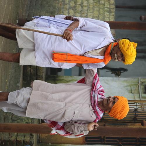 COLOURFUL FRIENDSHIP'S