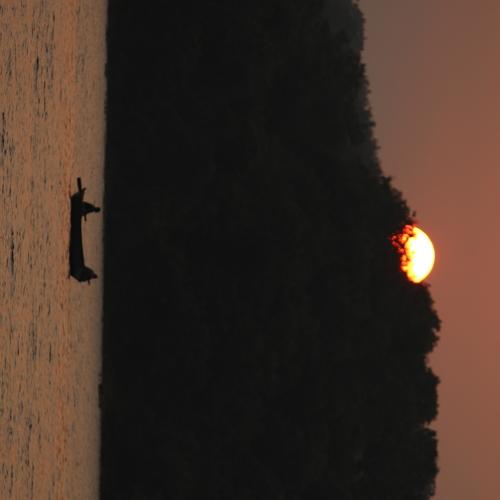 Photo #3978182