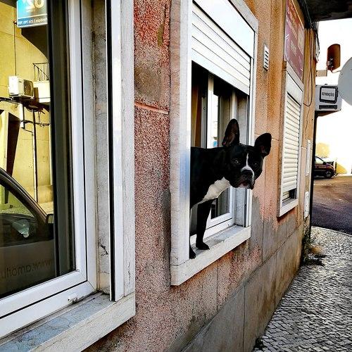 Photo #3978204