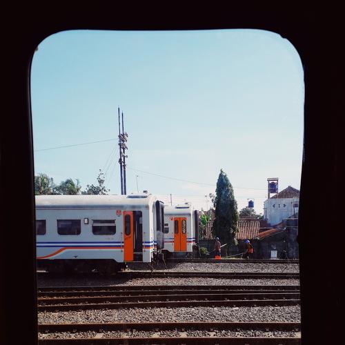 Photo #3978459