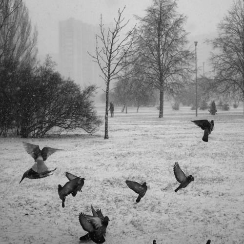 Photo #3978524