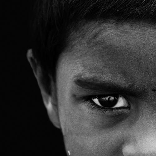 Photo #3978635