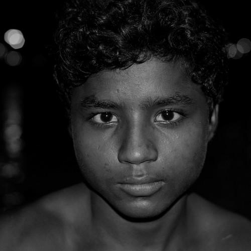 Photo #3978636