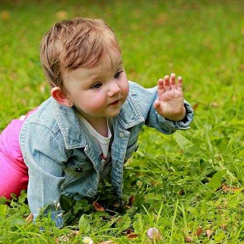 Photo #3978776