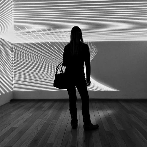 Photo #3978985