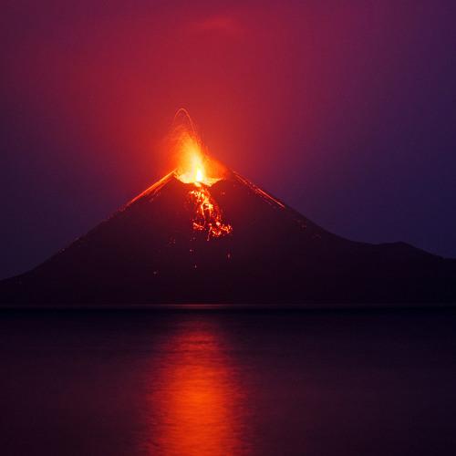 Photo #3978988