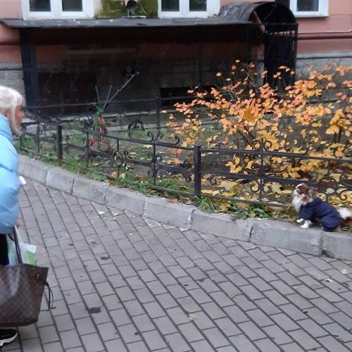 Смотри на меня, делай как я