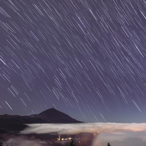 Photo #3979277