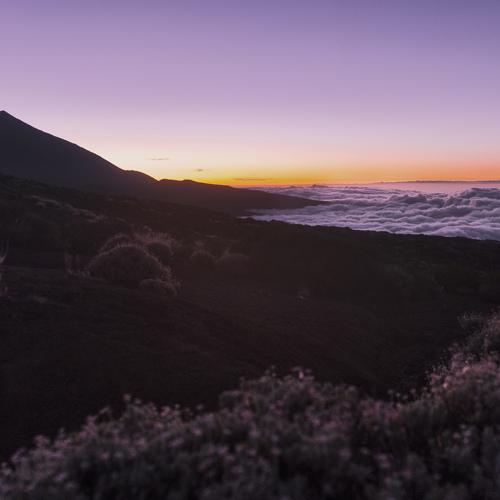 Photo #3979328