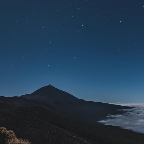 Photo #3979407