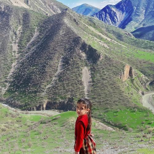 Photo #3979720