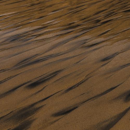 Photo #3979761