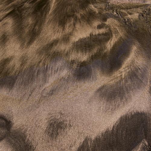 Photo #3979762