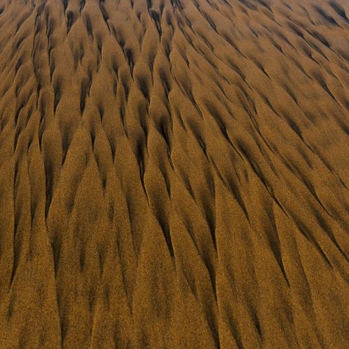 Photo #3979763