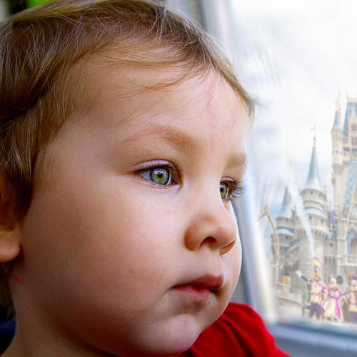 Photo #3979778