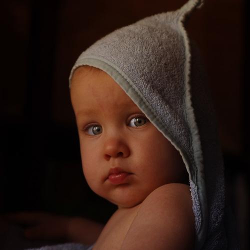 Photo #3979780