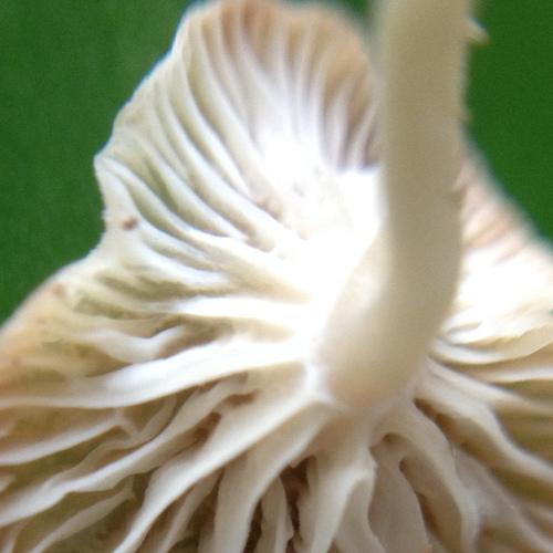 Photo #3979951