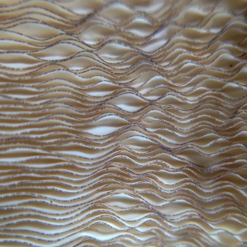 Photo #3979954