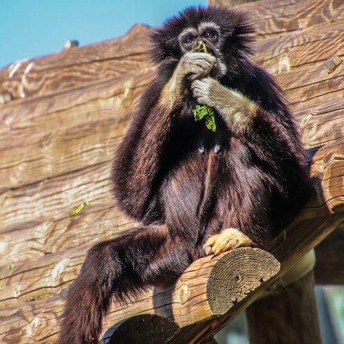 Photo #3980179