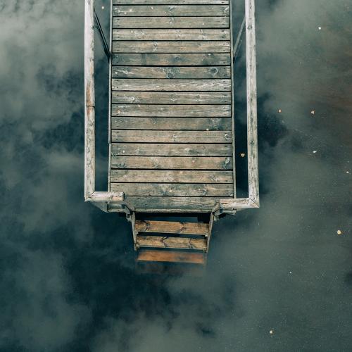 Photo #3980418