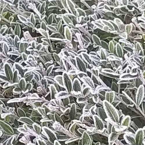 Photo #3980536