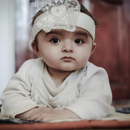 Photo #3980575