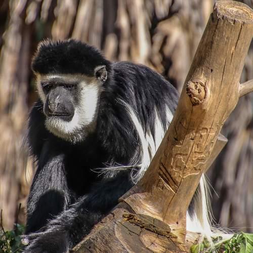 Photo #3980592