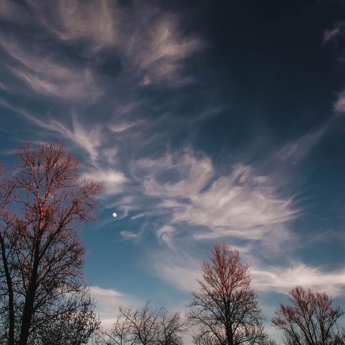 Photo #3980621