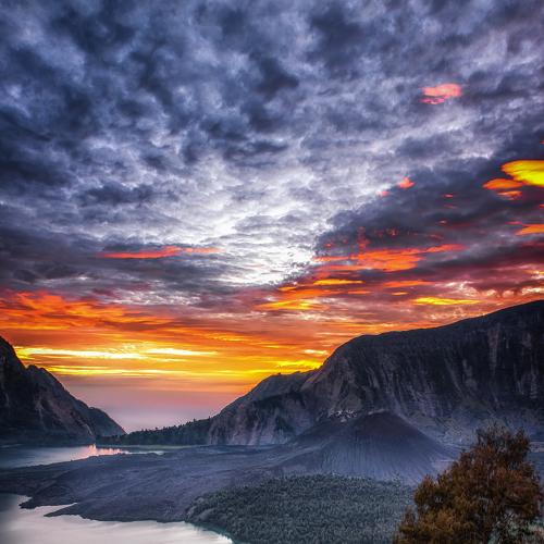 Photo #3980631