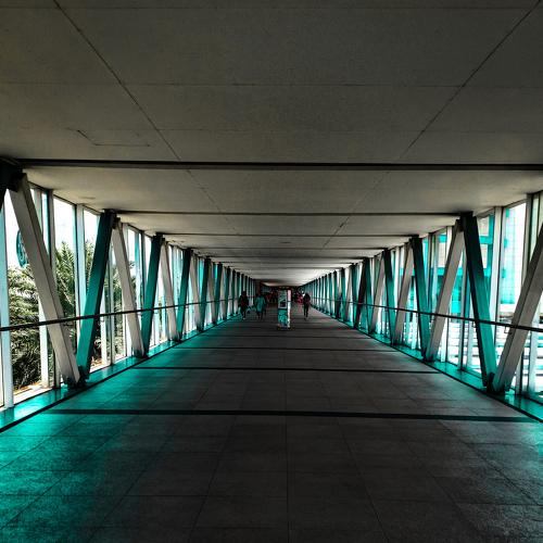 Photo #3980651