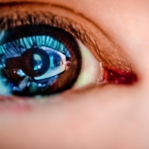 Photo #3980659
