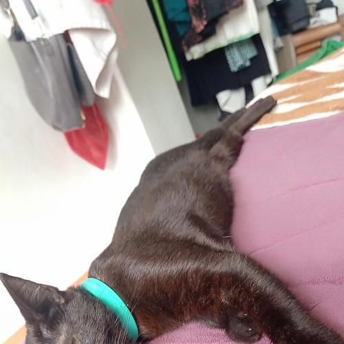 Photo #3981013