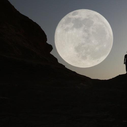 Photo #3981159