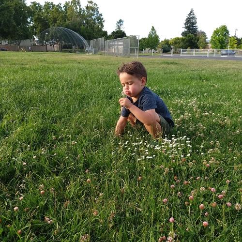 Boy and flowers