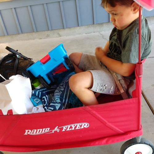 Photo #3982261