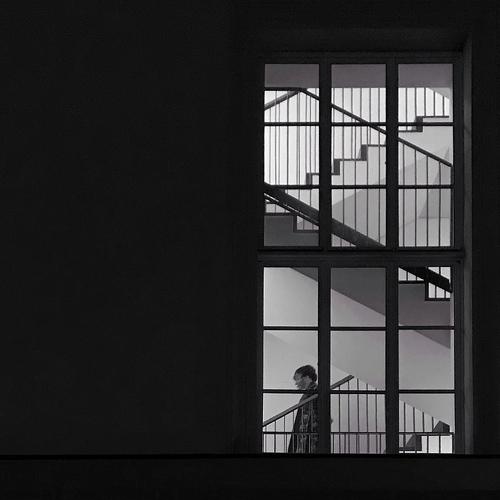 Backyard window