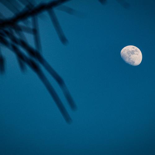 Evening moments