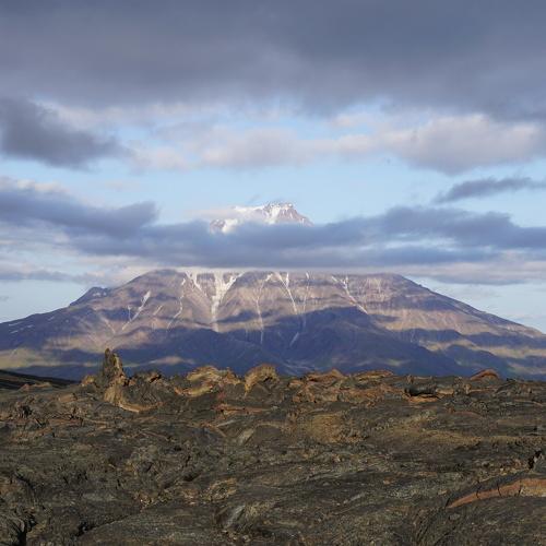 Photo #3982413