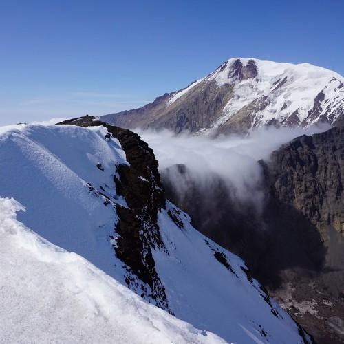 Photo #3982490