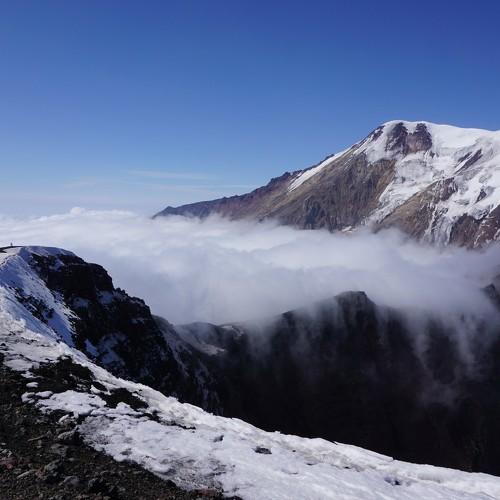 Photo #3982537