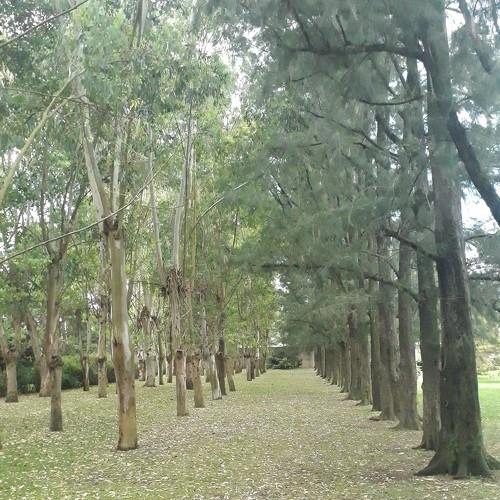 Photo #3983118