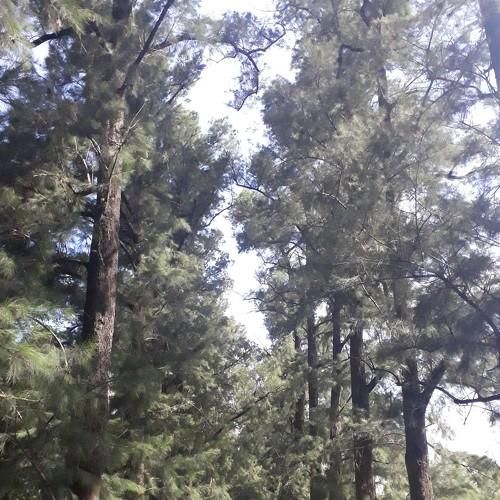 Photo #3983123