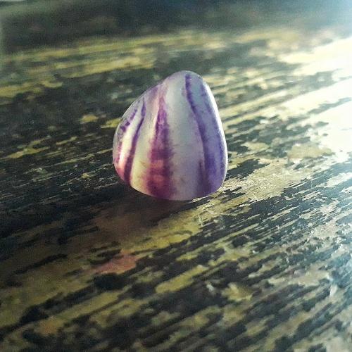Photo #3983129