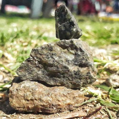 Photo #3983131