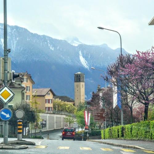 Photo #3983301