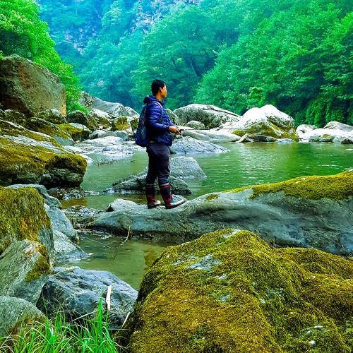 Photo #3983539